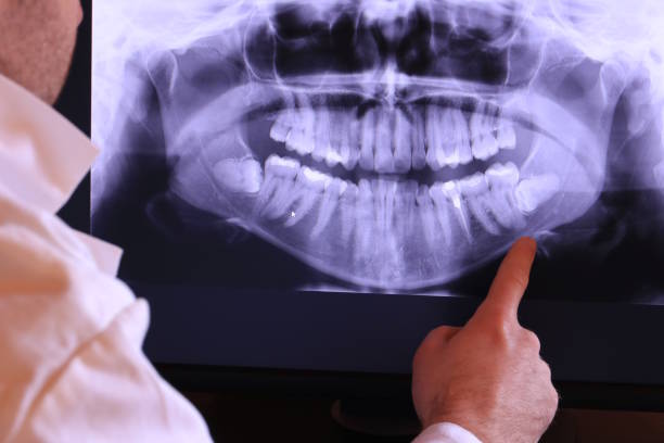 Best Emergency X-Rays and Diagnostics in Breaux Bridge, LA